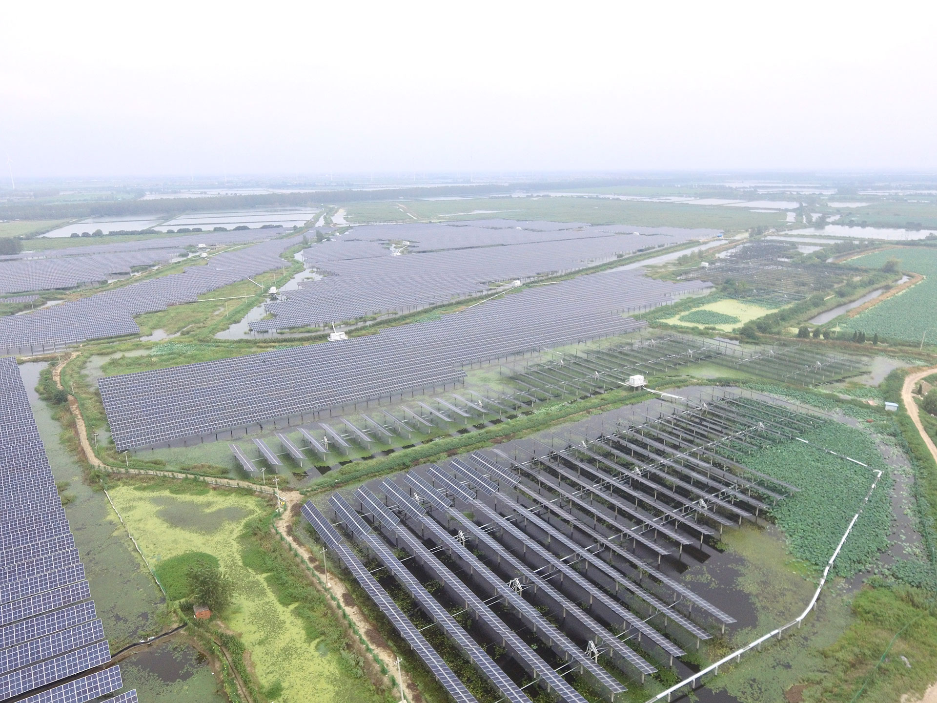 918天堂搏科技江苏扬州宝应光伏发电应用领跑基地2号100兆瓦项目